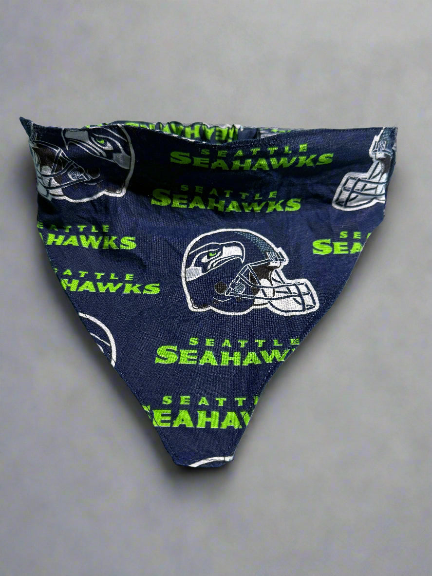 Seattle Seahawks patterned fabric on a light blue background