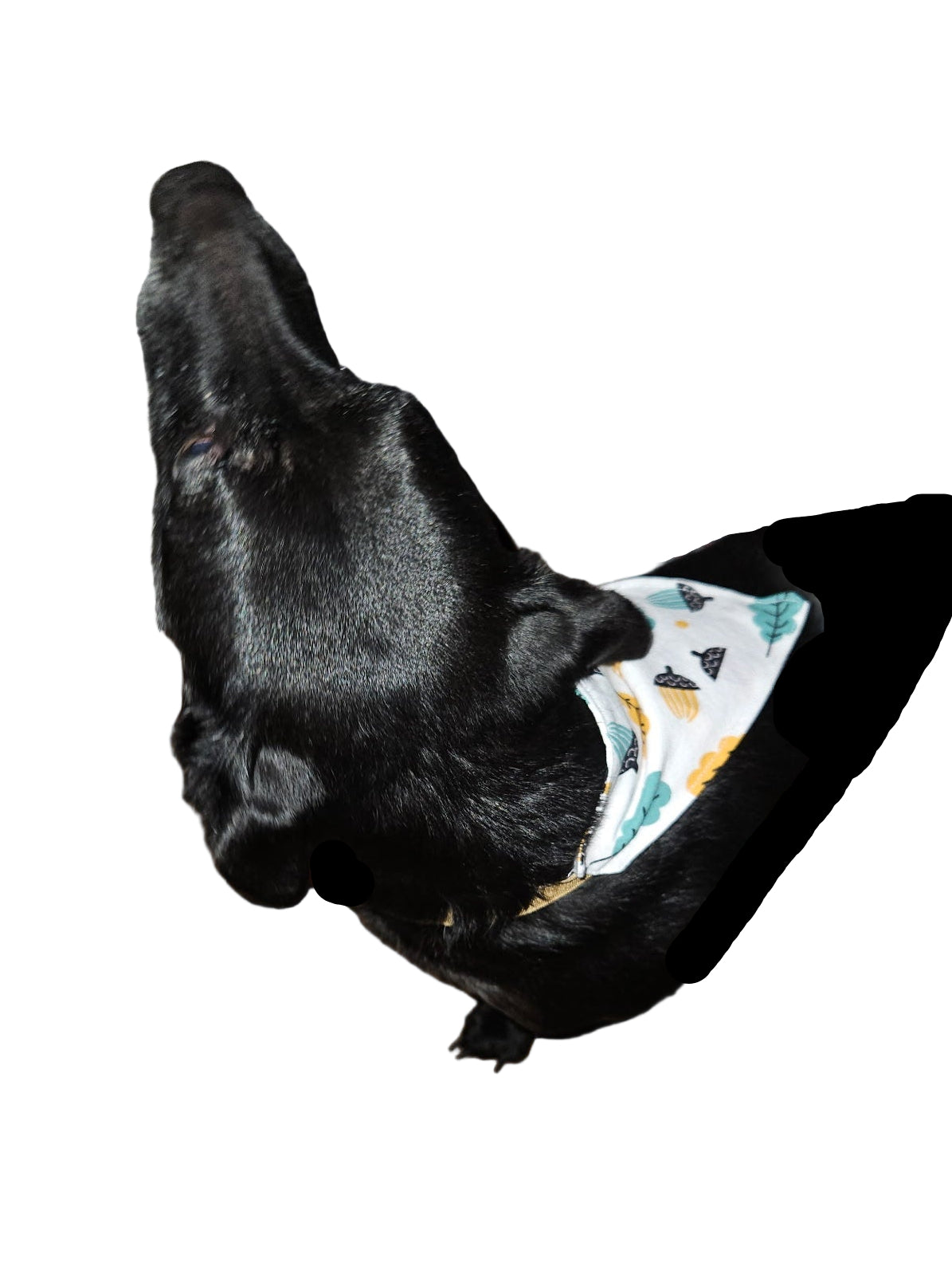 Handmade Pet Bandanas - Stretchy